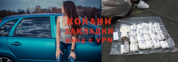 гидра Володарск