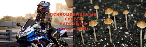 тгк Волосово