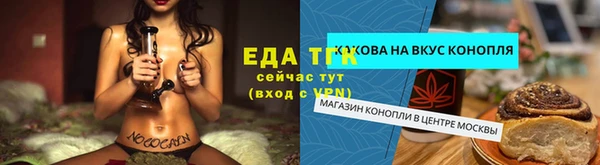 гидра Володарск