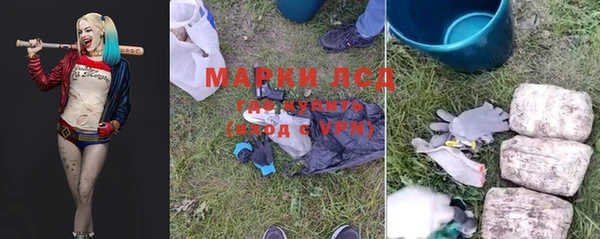 гидра Володарск