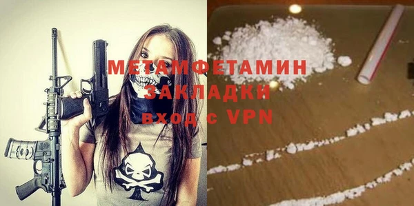гидра Володарск