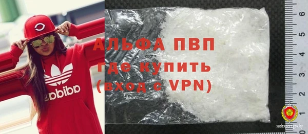 гидра Володарск